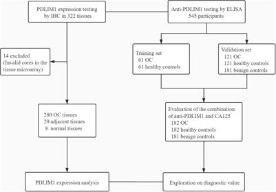 Serum Anti-PDLIM1 Autoantibody as Diagnostic Marker in Ovarian Cancer